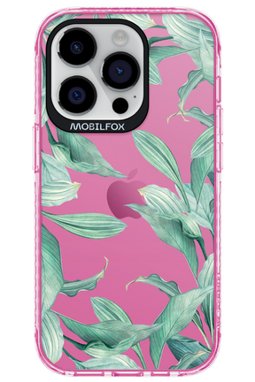 Greenpeace - Apple iPhone 14 Pro