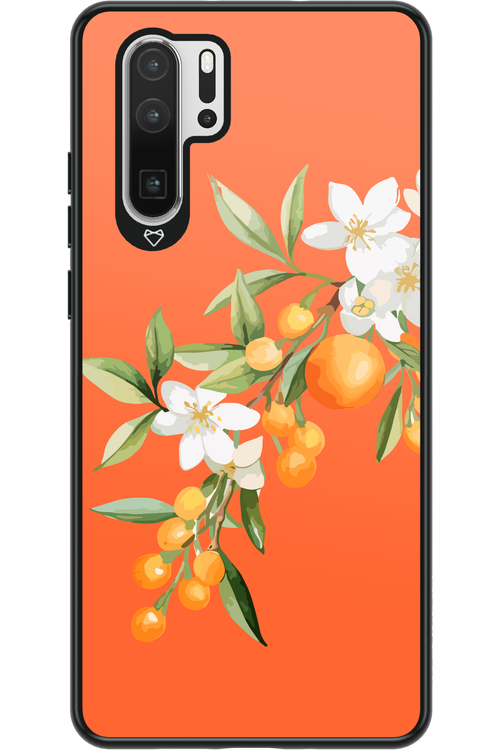 Amalfi Oranges - Huawei P30 Pro