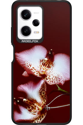 Leobloomy 2.0 - Xiaomi Redmi Note 12 Pro 5G