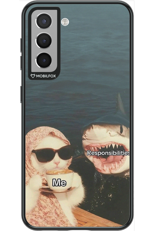 Responsibilities - Samsung Galaxy S21