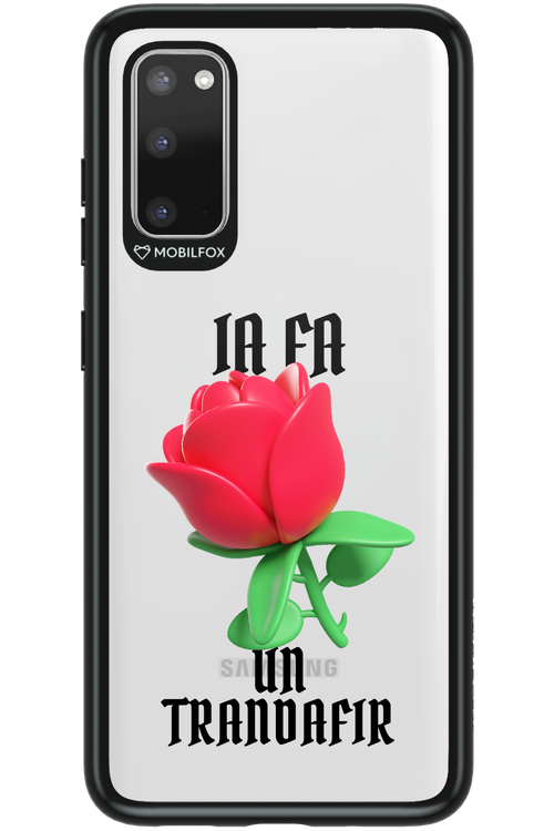 Rose Transparent - Samsung Galaxy S20