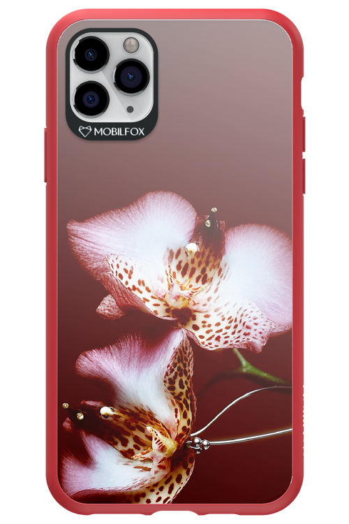 Leobloomy 2.0 - Apple iPhone 11 Pro Max