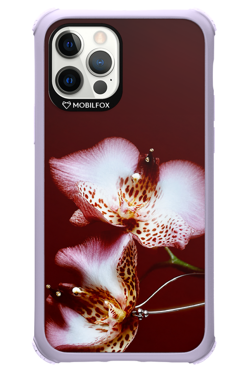 Leobloomy 2.0 - Apple iPhone 12 Pro