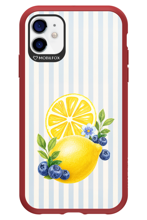 Fresh Flash 2.0 - Apple iPhone 11