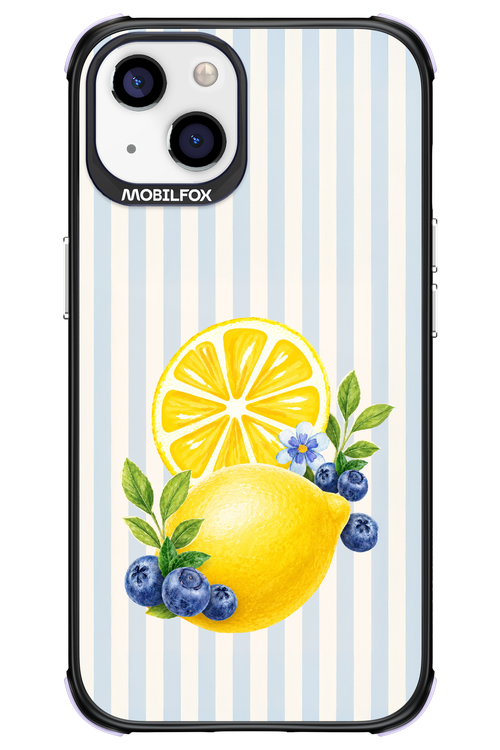 Fresh Flash 2.0 - Apple iPhone 13