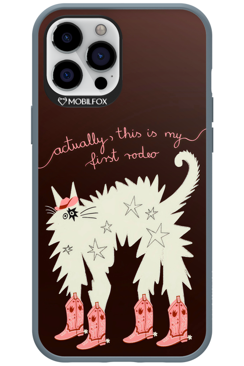 First rodeo 2.0 - Apple iPhone 12 Pro Max