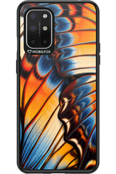 Rainbow Wing 2.0 - OnePlus 8T
