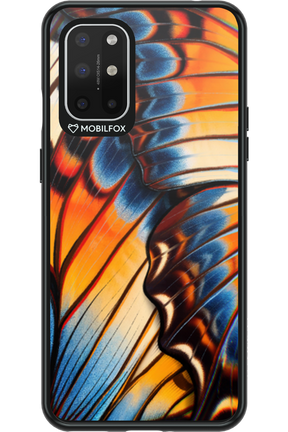 Rainbow Wing 2.0 - OnePlus 8T