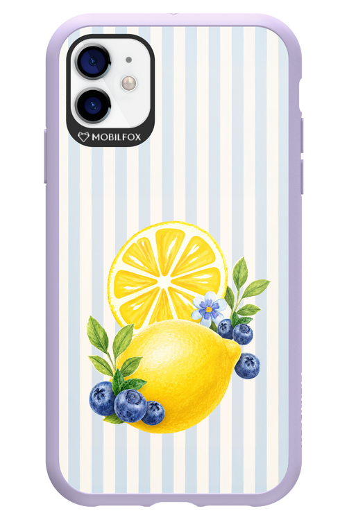 Fresh Flash 2.0 - Apple iPhone 11