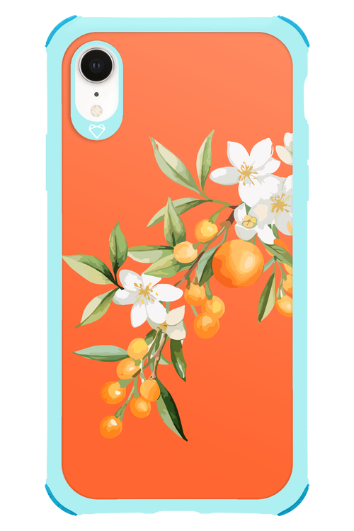 Amalfi Oranges - Apple iPhone XR