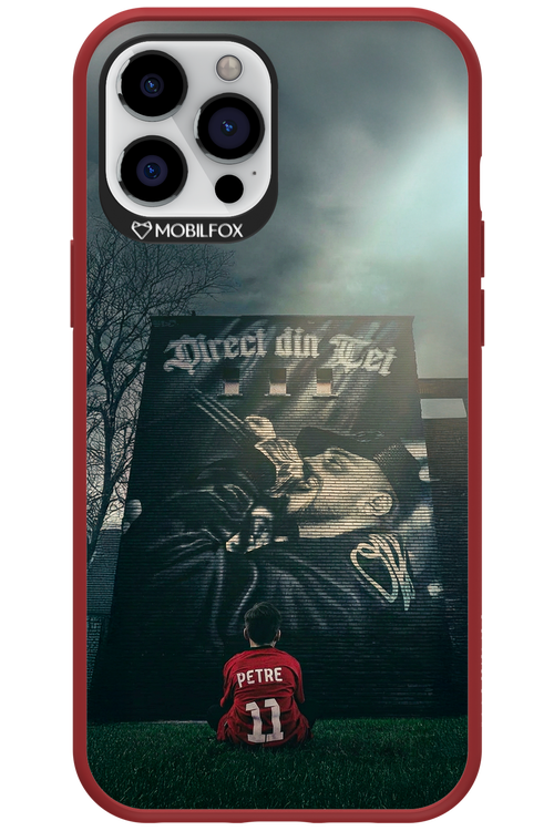 Direct Din Tei Artwork 2.0 - Apple iPhone 12 Pro Max