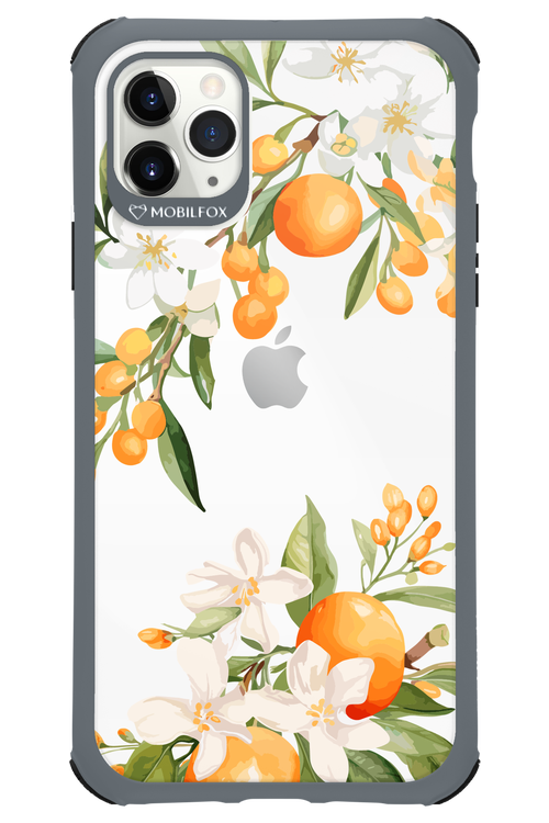 Amalfi Orange - Apple iPhone 11 Pro Max