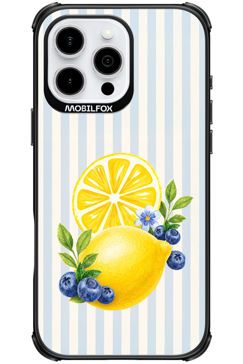 Fresh Flash 2.0 - Apple iPhone 16 Pro Max