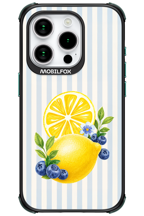 Fresh Flash 2.0 - Apple iPhone 15 Pro