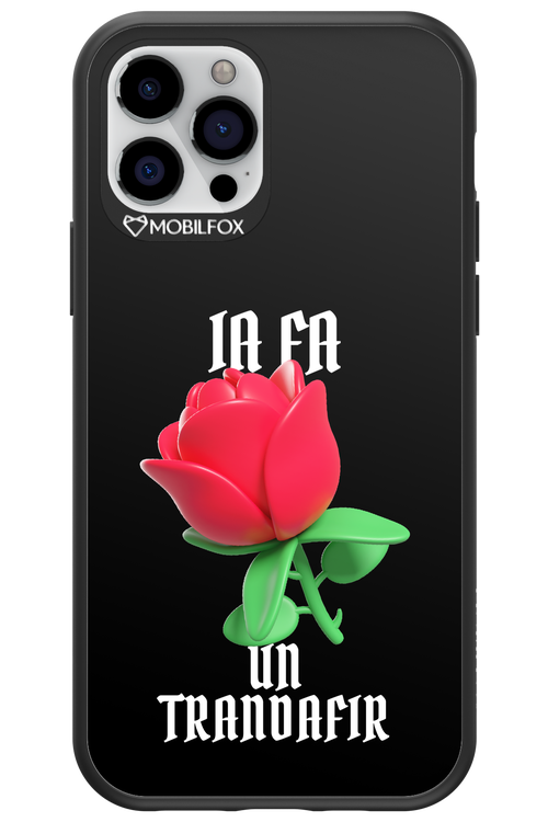 Rose Black - Apple iPhone 12 Pro