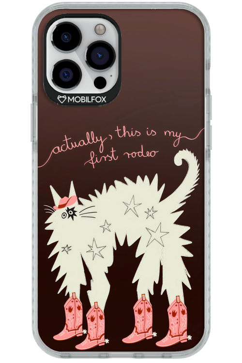 First rodeo 2.0 - Apple iPhone 12 Pro Max