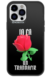 Rose Black - Apple iPhone 13 Pro Max