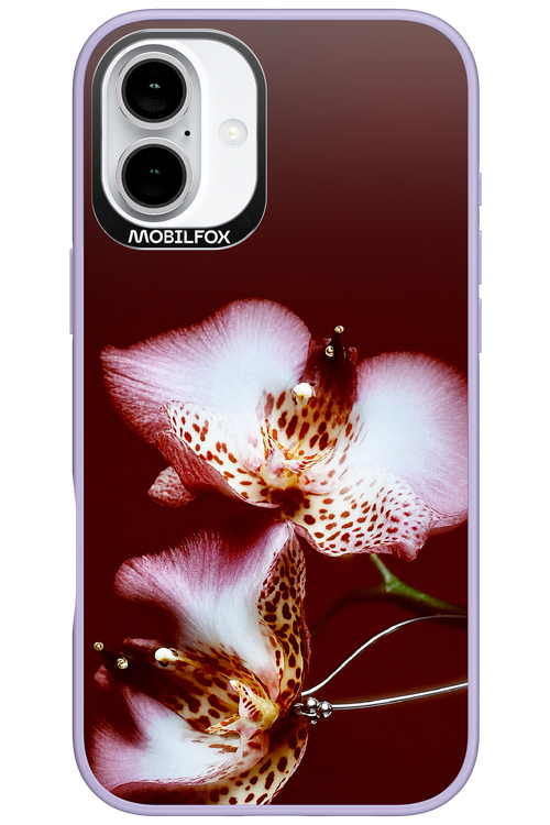 Leobloomy 2.0 - Apple iPhone 16 Plus