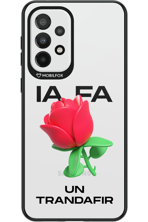 IA Rose Transparent - Samsung Galaxy A33