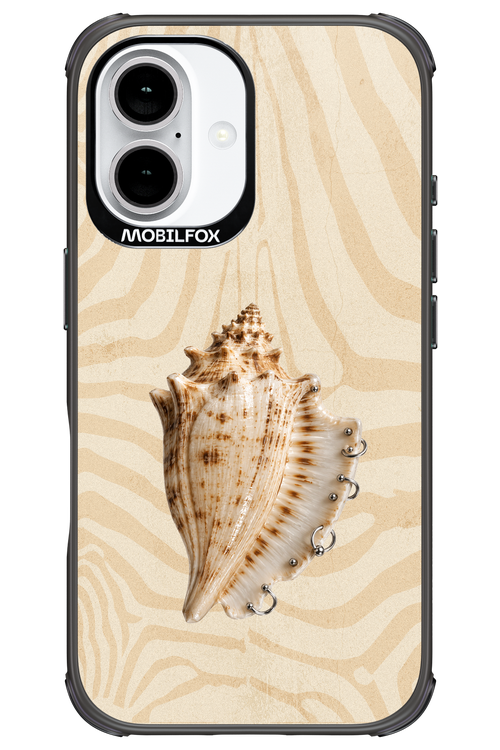 Shell Me Out 2.0 - Apple iPhone 16