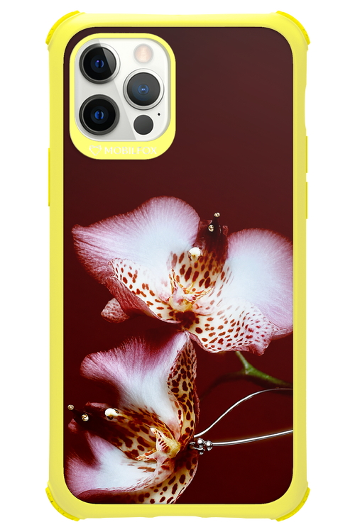Leobloomy 2.0 - Apple iPhone 12 Pro