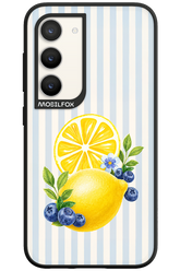 Fresh Flash 2.0 - Samsung Galaxy S23