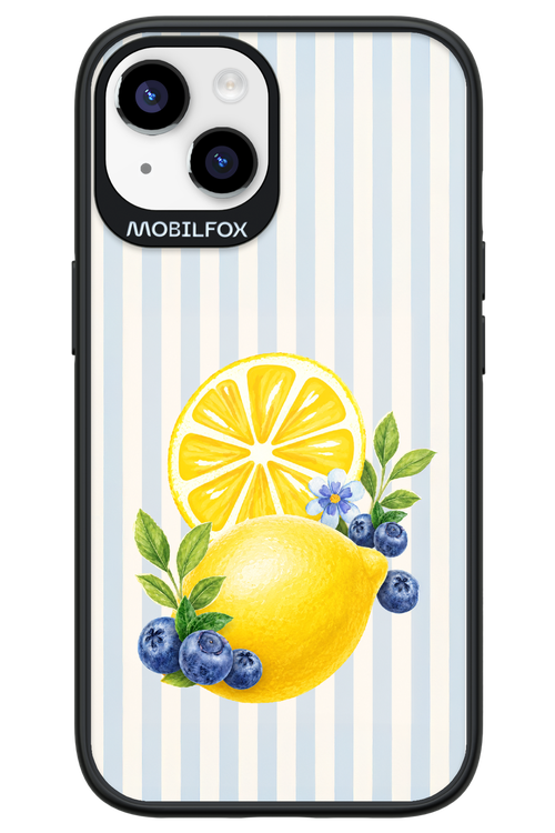 Fresh Flash 2.0 - Apple iPhone 14