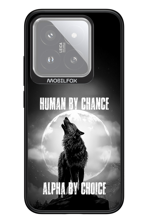Alpha 2.0 - Xiaomi 14