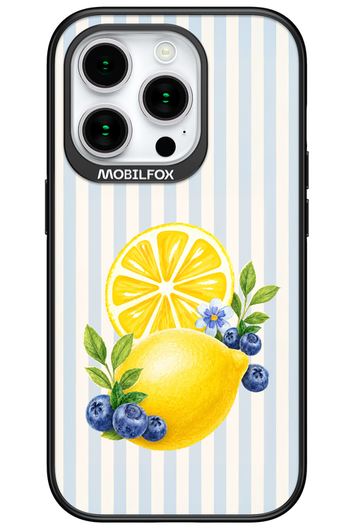 Fresh Flash 2.0 - Apple iPhone 15 Pro