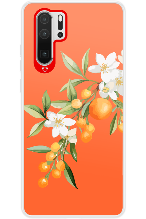 Amalfi Oranges - Huawei P30 Pro