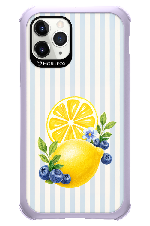 Fresh Flash 2.0 - Apple iPhone 11 Pro