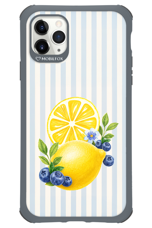 Fresh Flash 2.0 - Apple iPhone 11 Pro Max