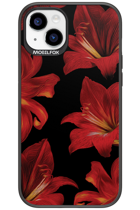 Amaryllis Noir - Apple iPhone 15 Plus