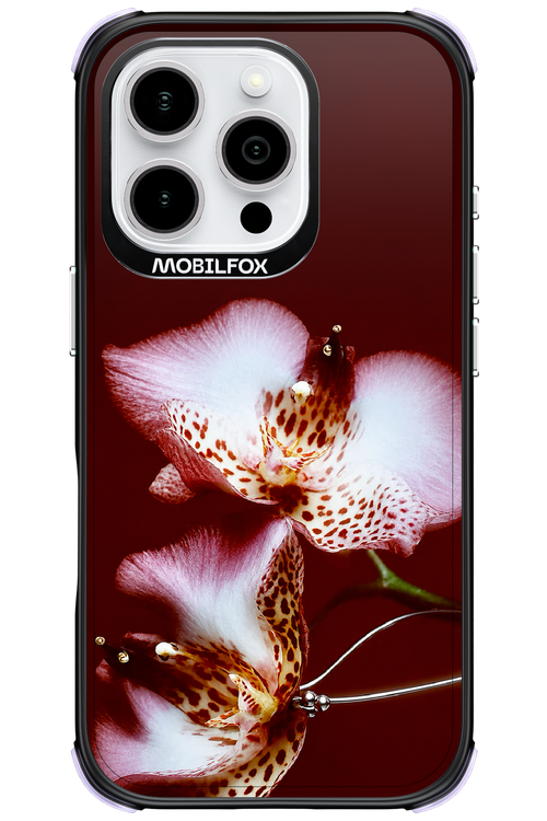 Leobloomy 2.0 - Apple iPhone 16 Pro