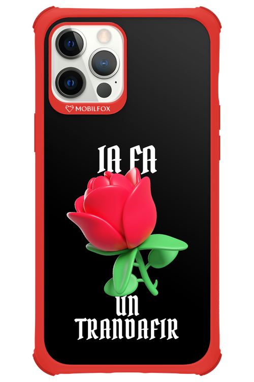 Rose Black - Apple iPhone 12 Pro Max