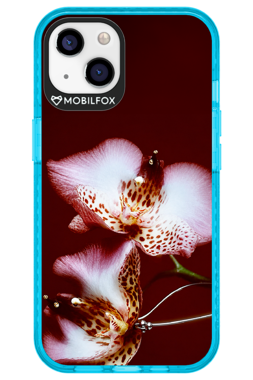 Leobloomy 2.0 - Apple iPhone 13