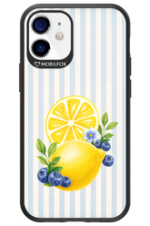 Fresh Flash 2.0 - Apple iPhone 12 Mini