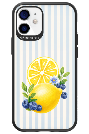 Fresh Flash 2.0 - Apple iPhone 12 Mini