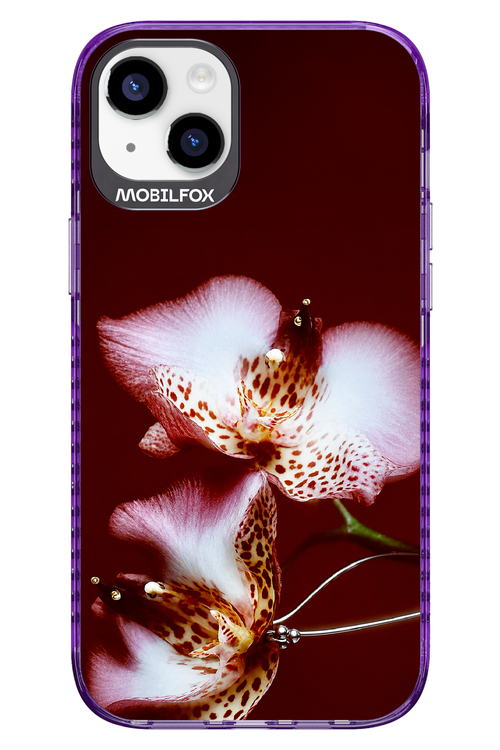 Leobloomy 2.0 - Apple iPhone 14 Plus