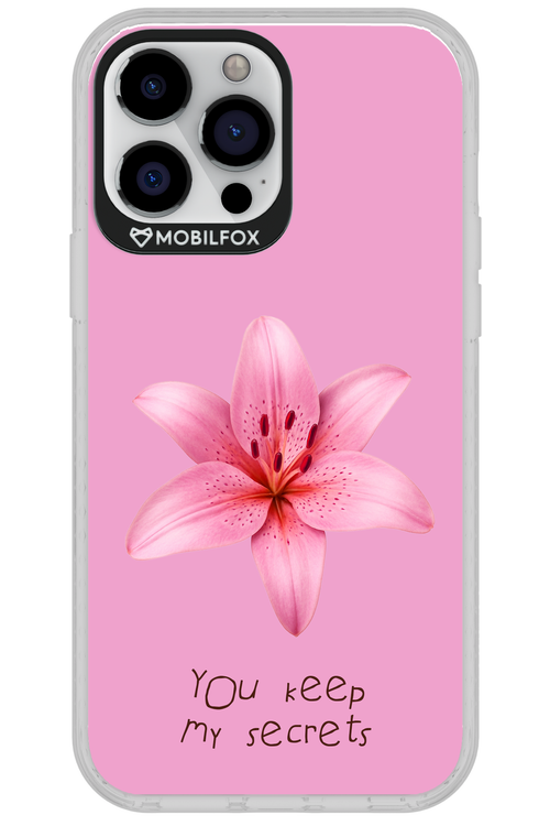 Secrets 2.0 - Apple iPhone 13 Pro Max