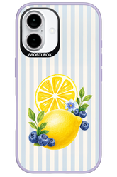 Fresh Flash 2.0 - Apple iPhone 16