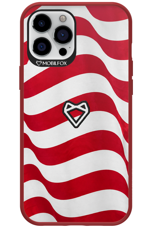 USA 2.0 - Apple iPhone 12 Pro Max