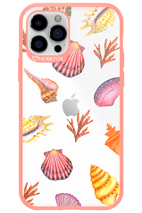 Sea Shells - Apple iPhone 12 Pro