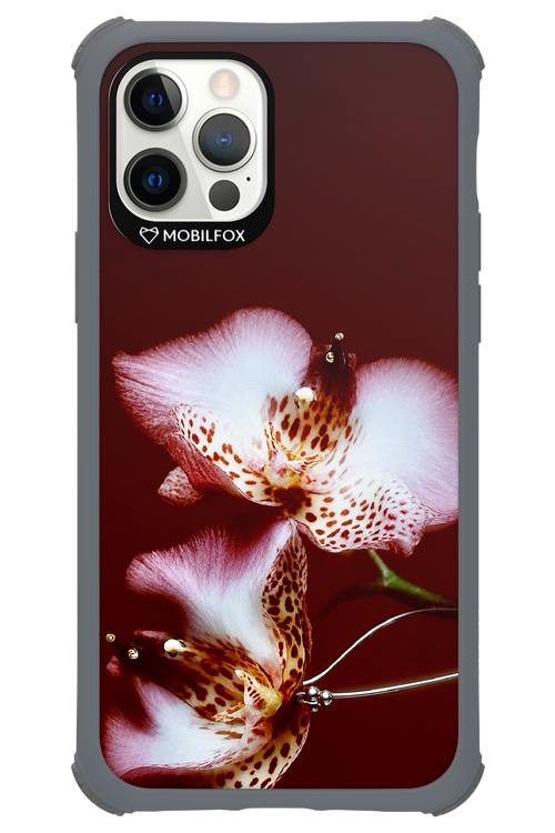 Leobloomy 2.0 - Apple iPhone 12 Pro