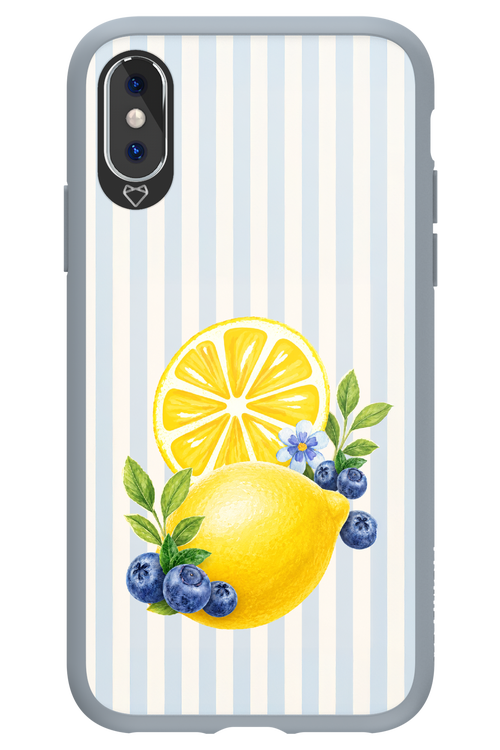 Fresh Flash 2.0 - Apple iPhone XS