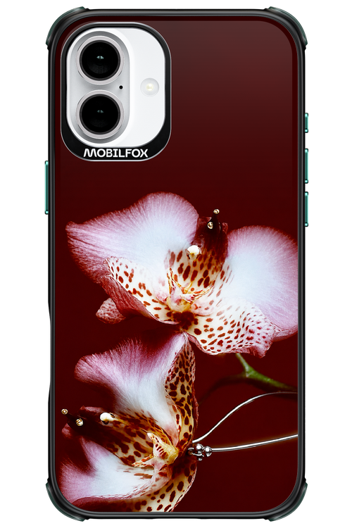 Leobloomy 2.0 - Apple iPhone 16 Plus