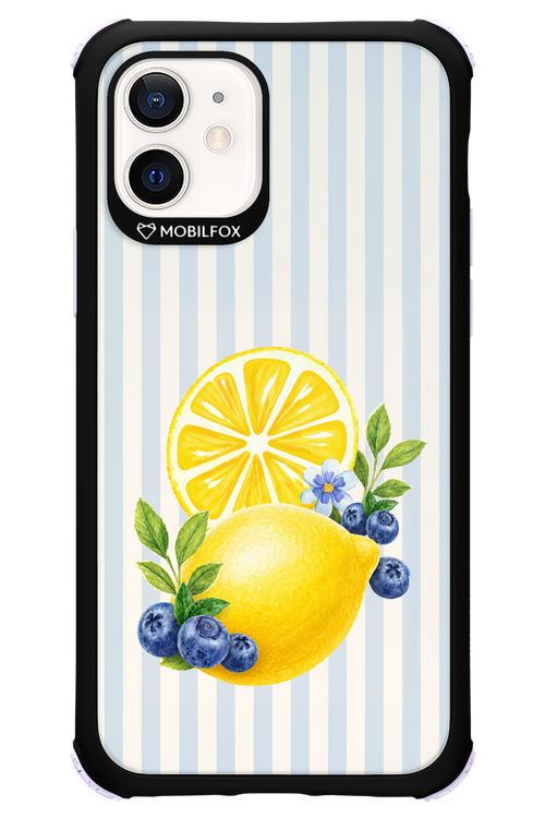 Fresh Flash 2.0 - Apple iPhone 12