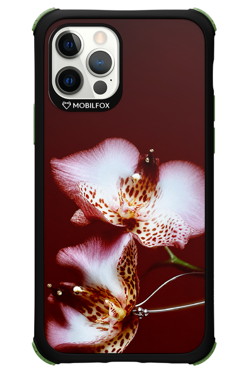 Leobloomy 2.0 - Apple iPhone 12 Pro