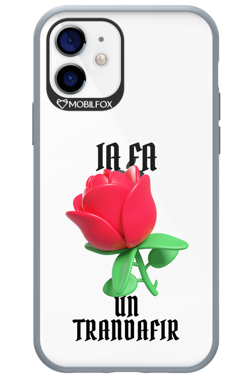 Rose Transparent - Apple iPhone 12