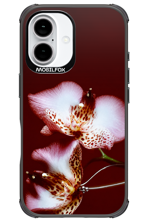 Leobloomy 2.0 - Apple iPhone 16